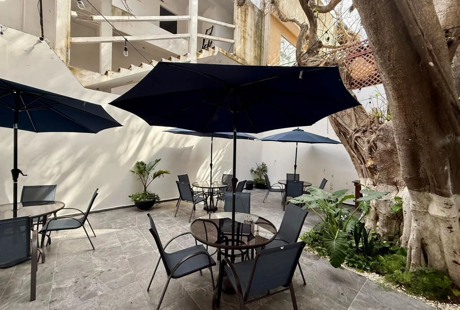 Casa Tortuga 5Th Ave Hotel Playa del Carmen